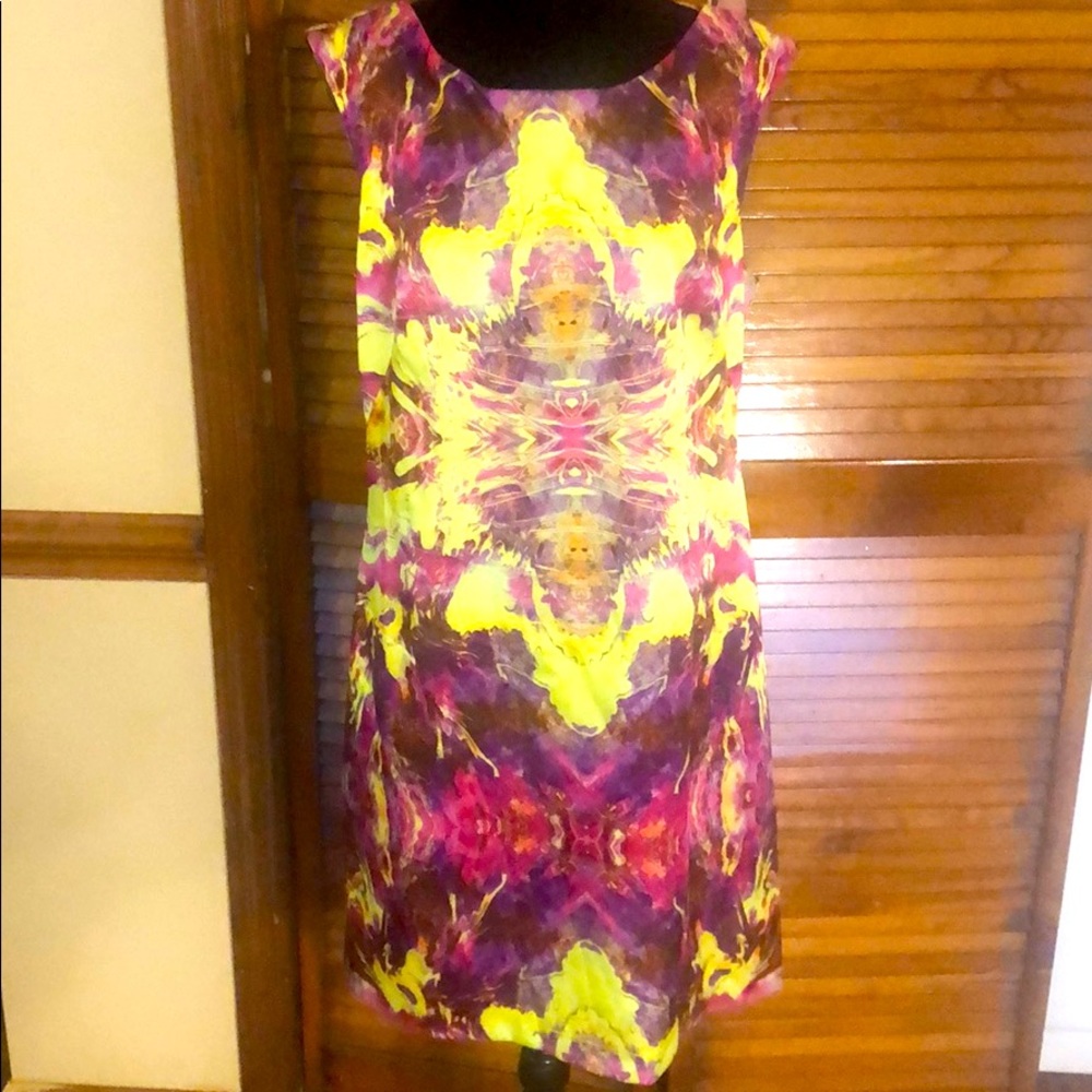 Suzi Chin for Maggy Boutique Dress